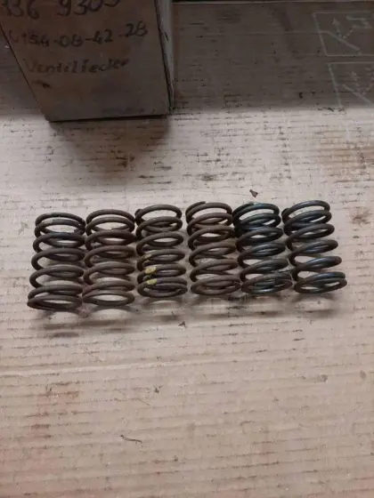 6 Ventilfedern Deutz Motor