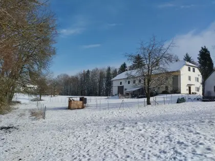 Pferdeeinstellplatz für Wallach