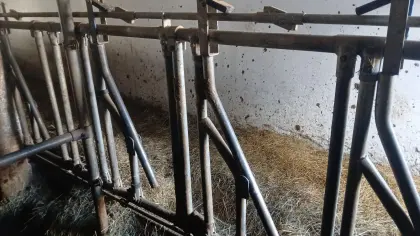 Felder Selbstfanggitter