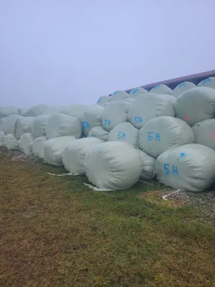 Verkaufe Siloballen