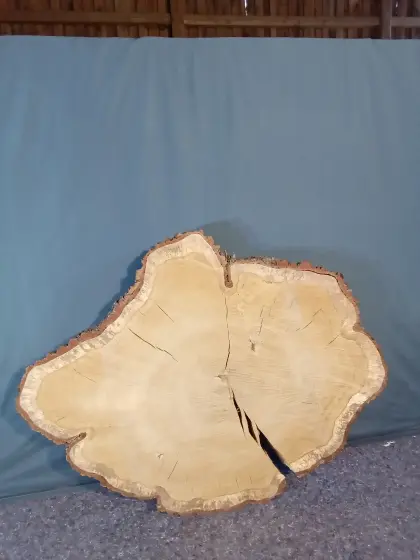 Jumbo Eichenplatte Tisch