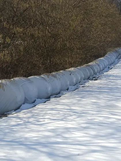 Maisballen, Siloballen