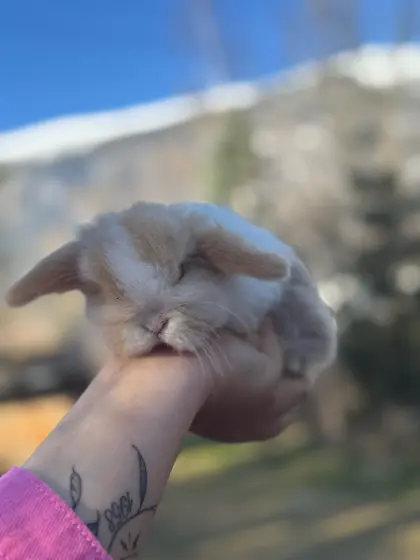 Kleine suchen noch ein Zuhause