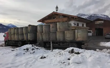 Jedes Heu für dein Vieh, gut und preiswert mit Zustellung