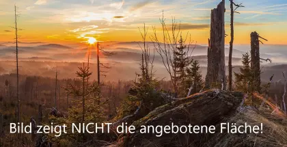 Grünfläche zu verkaufen ca. 1,5ha (Vorderer Bayer. Wald)