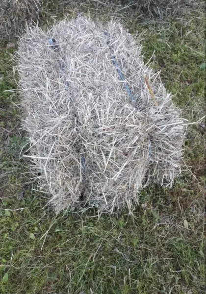 Heuballen klein (Quader) 2025, 1. Schnitt Pferdeheu