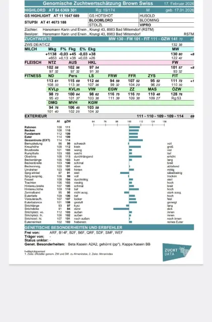 Braunvieh Zuchtstierkalb GZW 141