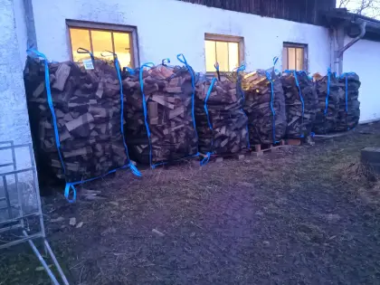 Brennholz frisch abgeschnitten zu verkaufen