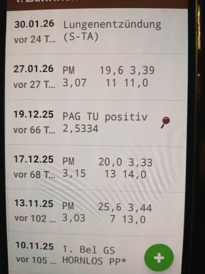 Fleckviehkuh in Milch