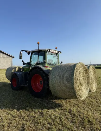 Heu mit Kleeanteil aus 2025