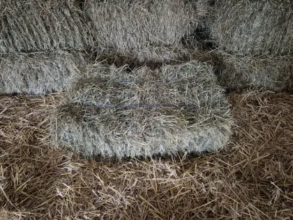 Heu in Kleinballen