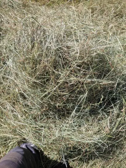 Bio Heuballen klein