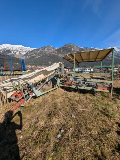 Schnittlauch, Kräutervollernter