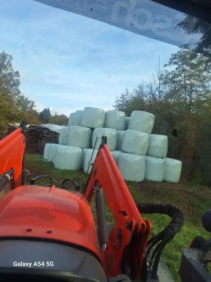 Silageballen 2025