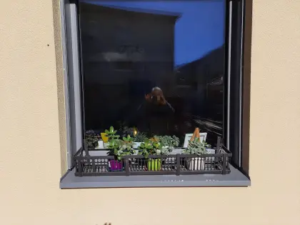 Fensterblumenaufhänger