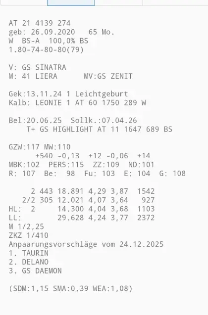 Braunvieh Erstlingskuh frisch