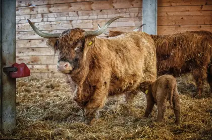 Mitarbeiter Landwirtschaft (m/w/d)