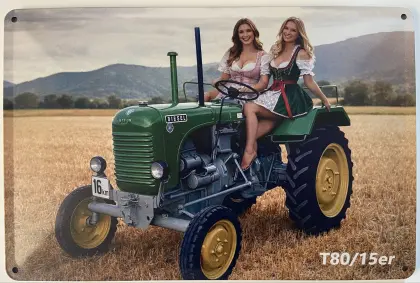 Blechschild 30 x 20 cm 15er Steyr Traktor mit zwei Bäurinnen