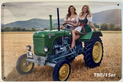 Blechschild 40x30 cm Steyr 15er Traktor mit sexy Bäuerinnen