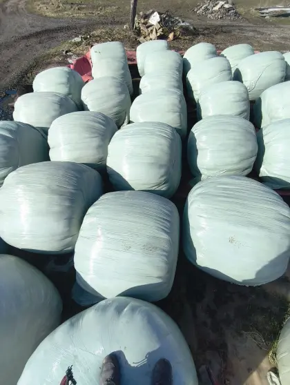 Silageballen