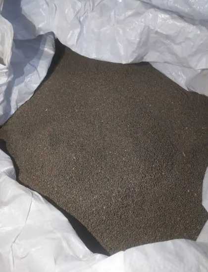 Panonische Winterwicke BIO