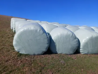 Bio Silageballen 3. Schnitt 2025