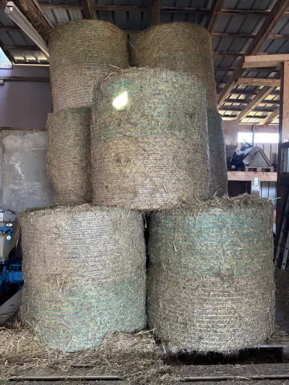 Heuballen 1. Schnitt