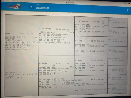 Hochtypisierte Braunviehkalbin trächtig