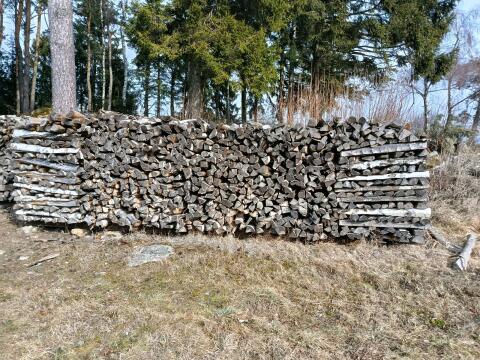 Birkenbrennholz