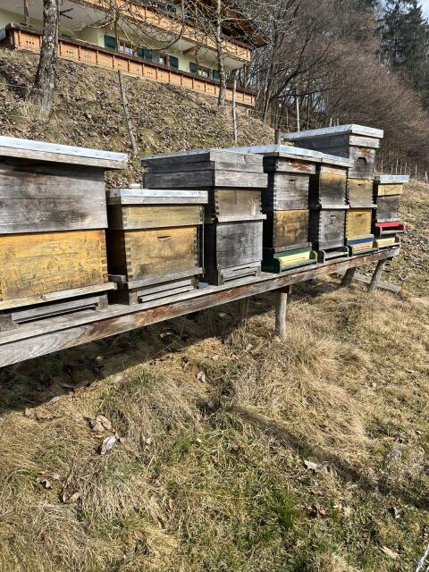 Bienenstöcke
