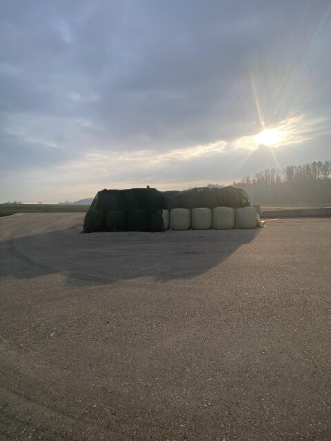 Bio-Silomaisballen (Maissilage)