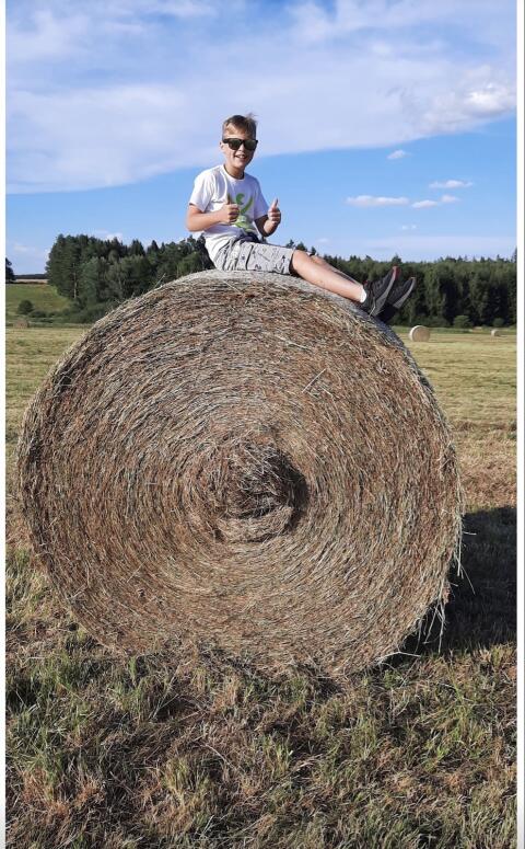 Heu Wiesenheu Futter