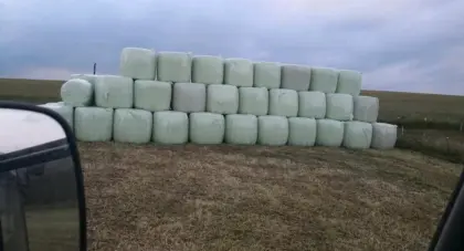 Silage Rundballen