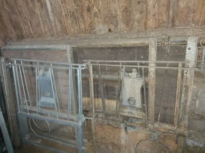 Aufstallung Boxentüren