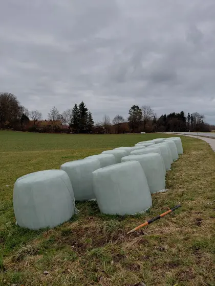 Bio Siloballen Ackerkleegras