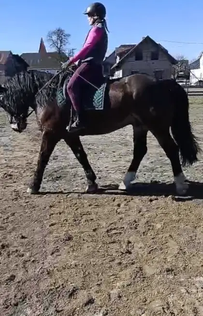 Pedro Elmar, charmant und wunderschön