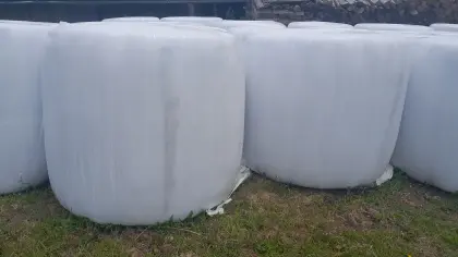 Silagerundballen zu verkaufen