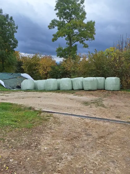 Siloballen Silageballen