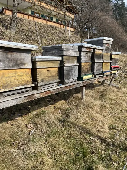 Bienenstöcke