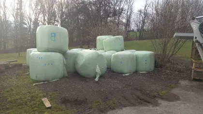 Bio Silageballen, 12 Stk.