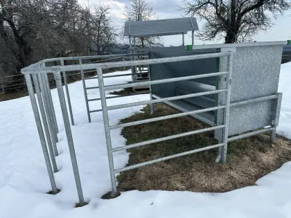 Kraftfutterautomat für Kälber mit Kälberschlupf