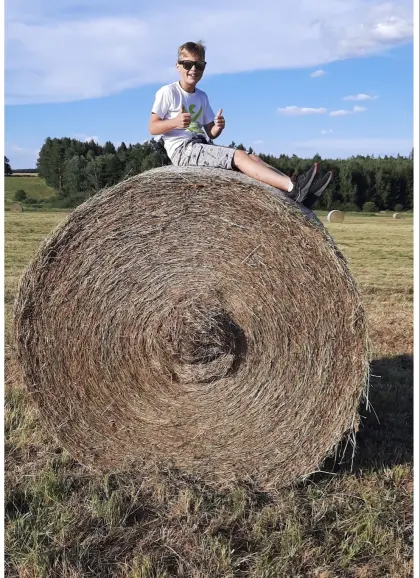 Heu Wiesenheu Futter