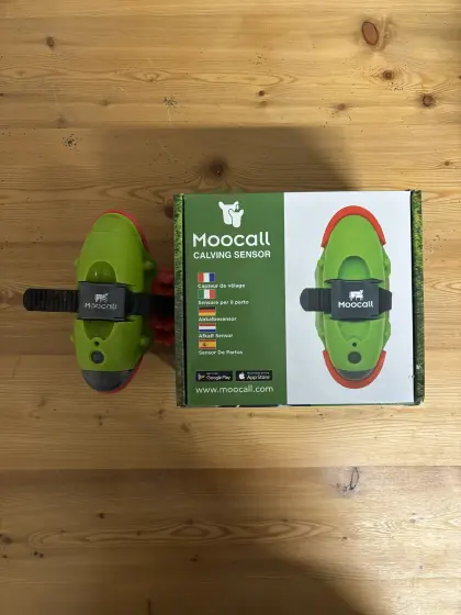 Moocall Abkalbesensor