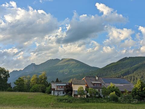 Praktikumsplatz 2026 auf Kuh- und Ziegenhof mit Käserei