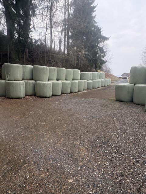 Siloballen Schnitt 2024-2025