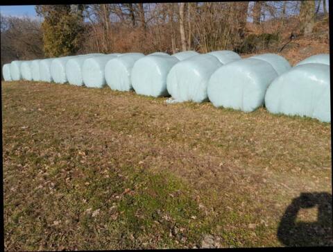 Siloballen