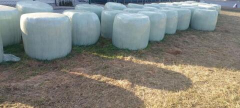 Heu und Siloballen günstig abzugeben