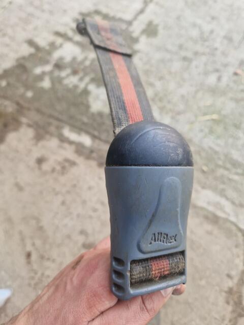 Lely Brunsterkennung