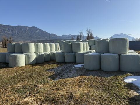 Silageballen