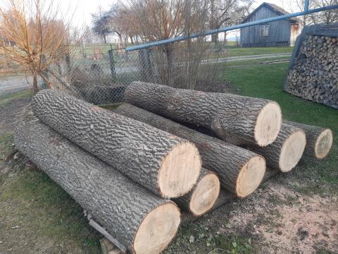 Eschen Rundholz